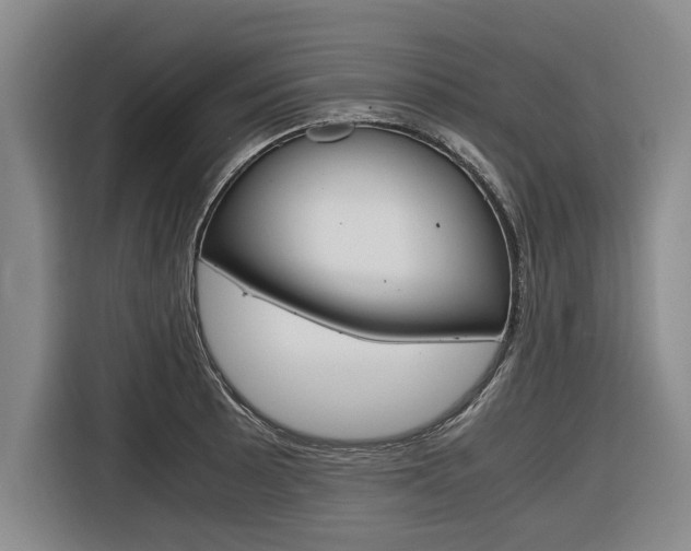 X0000116561089200912100938