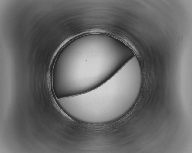 X0000116561092200912100938