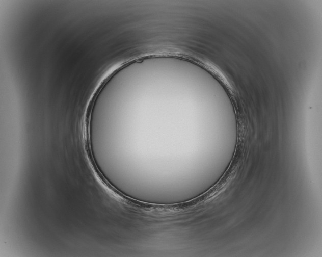 X0000116561095200912100938