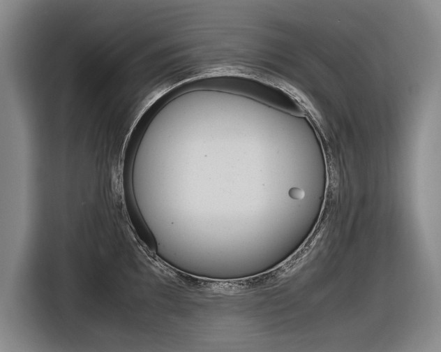 X0000116561097200912100938