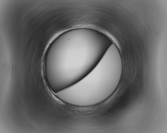 X0000116561102200912100938