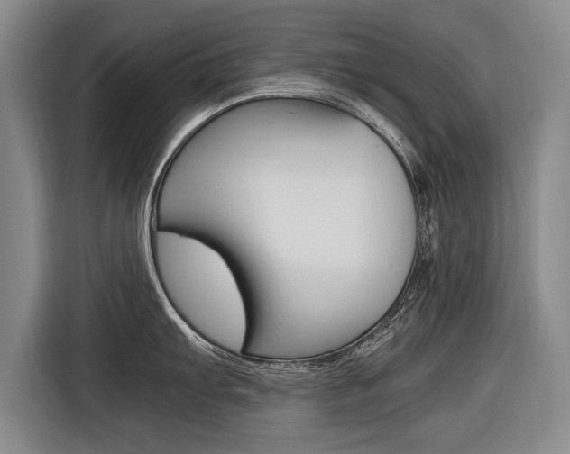 X0000116561103200912100938