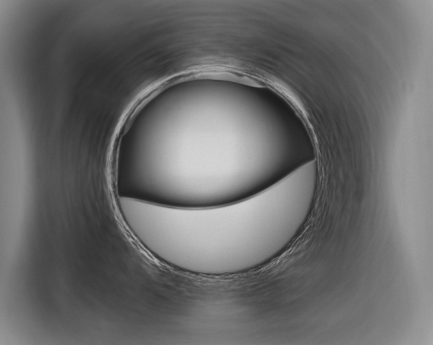 X0000116561104200912100938