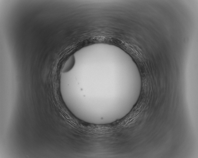 X0000116561105200912100938