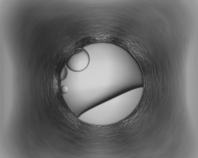 X0000116561106200912100938