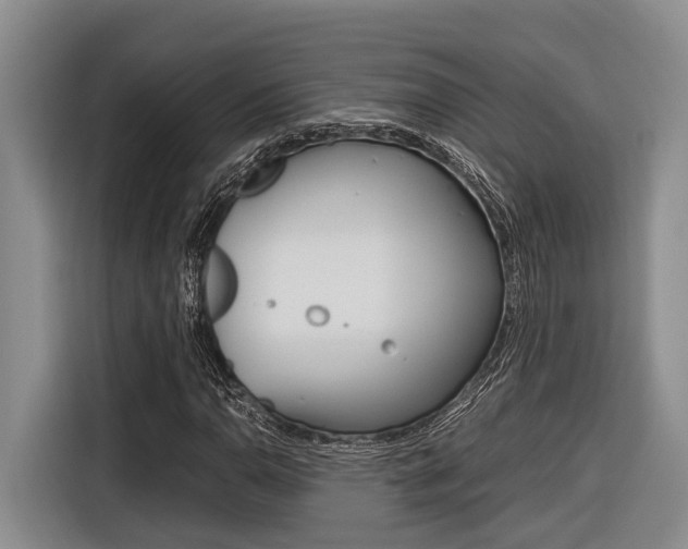 X0000116561110200912100938