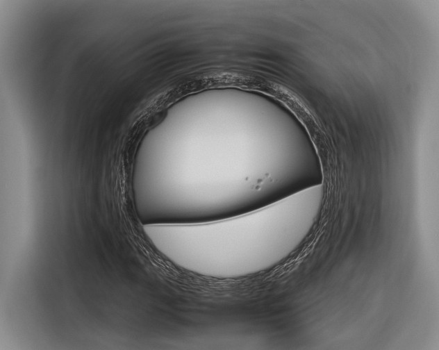 X0000116561111200912100938