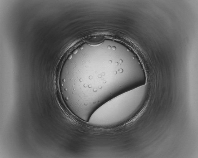 X0000116561113200912100938