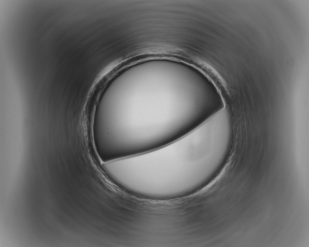 X0000116561114200912100938