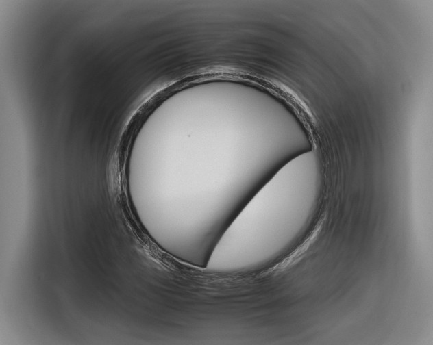 X0000116561117200912100938