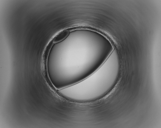 X0000116561118200912100938