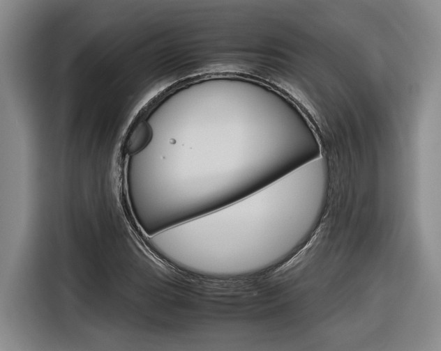 X0000116561119200912100938