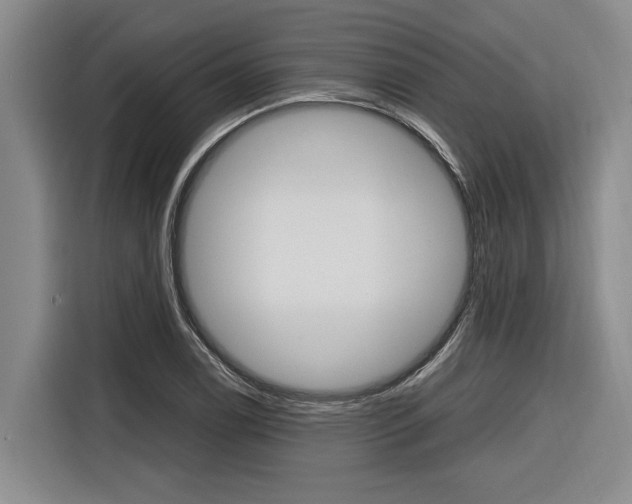 X0000116561122200912100938