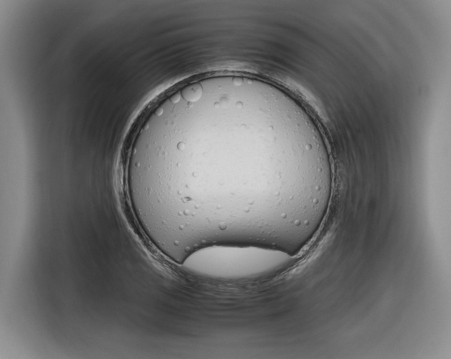 X0000116561125200912100938