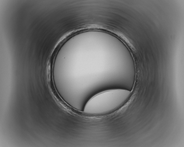 X0000116561126200912100938