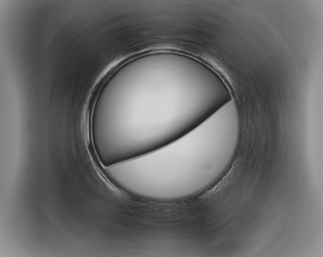 X0000116561127200912100938