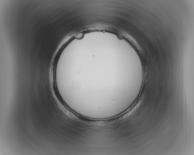 X0000116561130200912100938