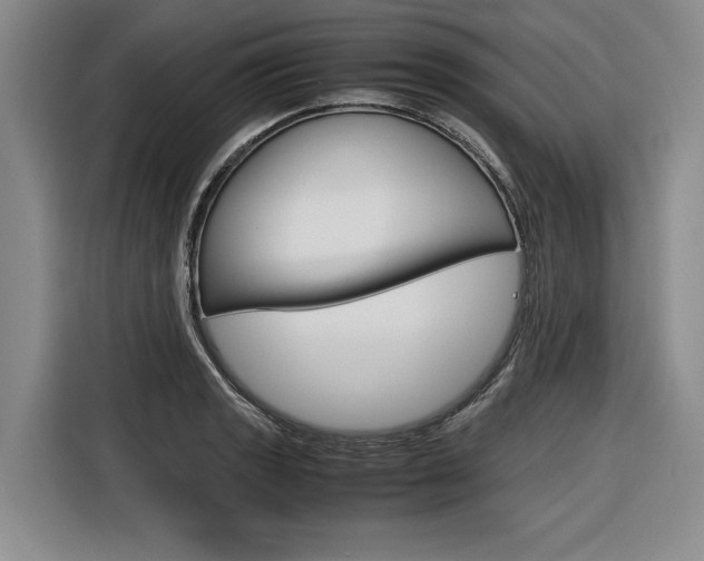 X0000116561133200912100938