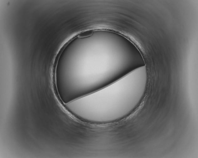 X0000116561134200912100938
