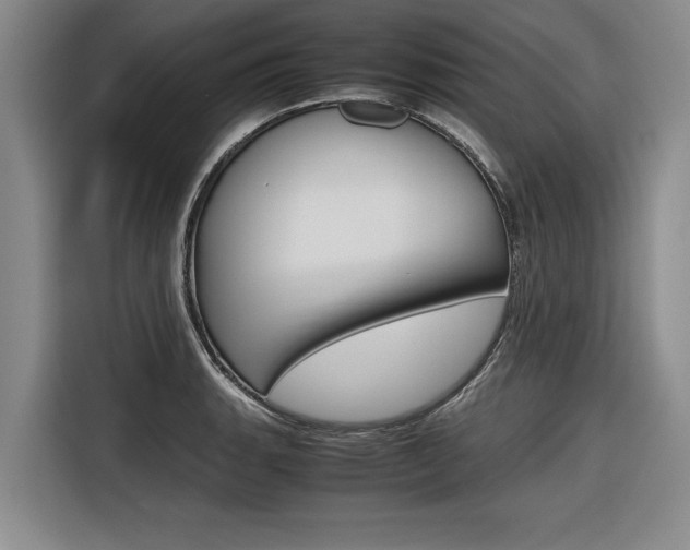X0000116561135200912100938