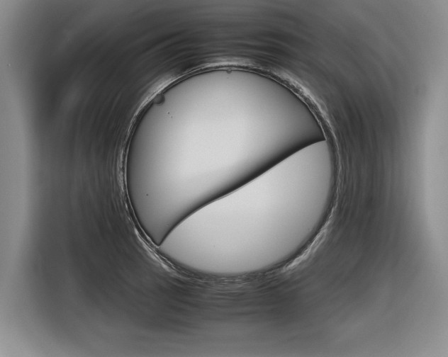 X0000116561137200912100938
