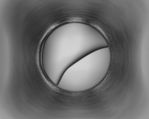 X0000116561139200912100938