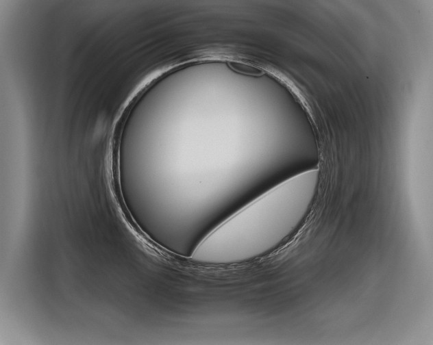 X0000116561147200912100938