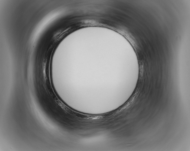 X0000116561150200912100938