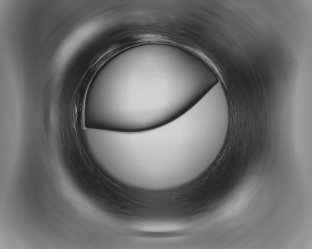 X0000116561151200912100938