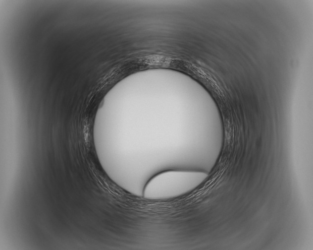 X0000116561154200912100938