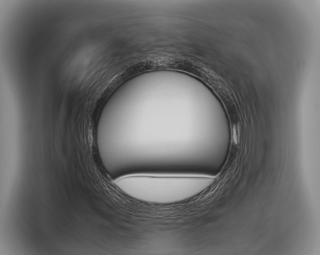 X0000116561155200912100938