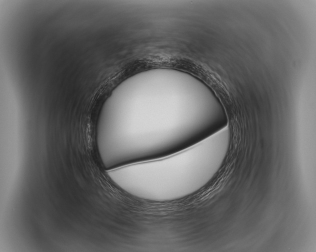 X0000116561156200912100938