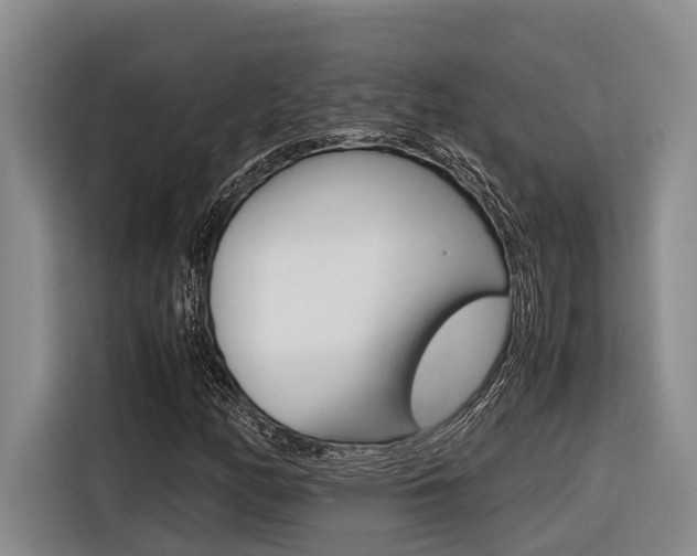 X0000116561158200912100938