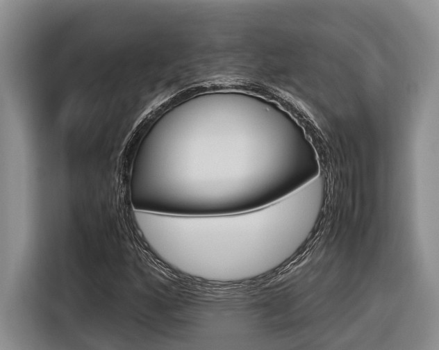 X0000116561160200912100937