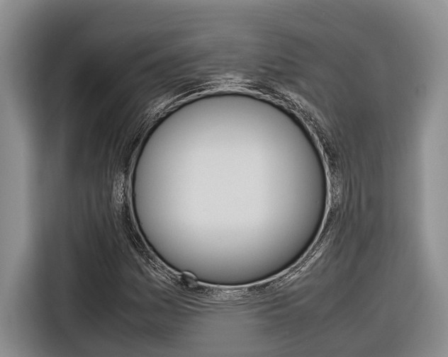X0000116561161200912100937