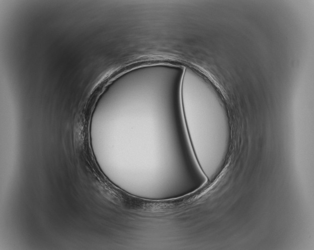 X0000116561163200912100937