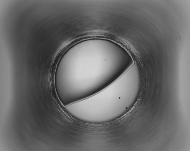 X0000116561164200912100937