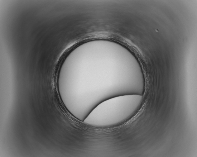 X0000116561166200912100937