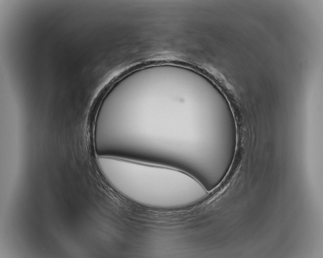 X0000116561167200912100937