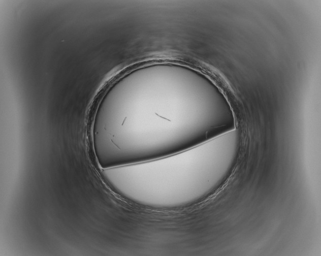 X0000116561168200912100937