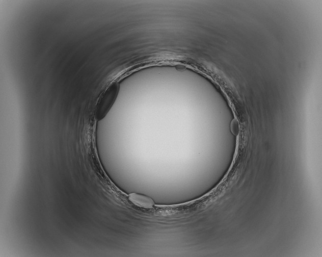 X0000116561169200912100937