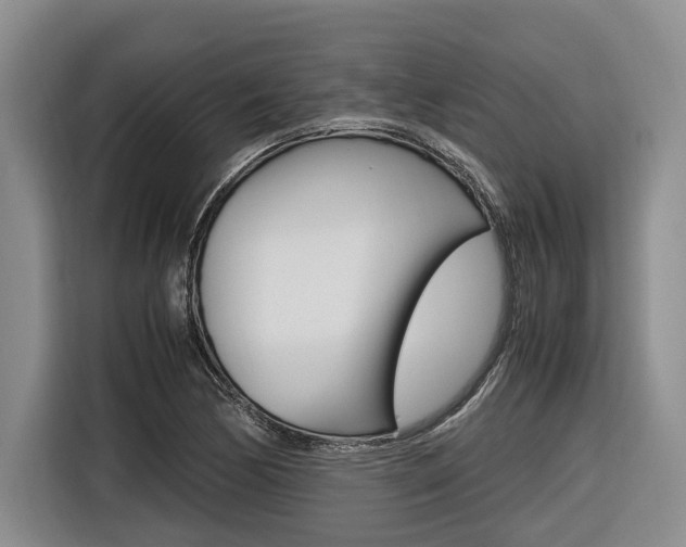 X0000116561170200912100937