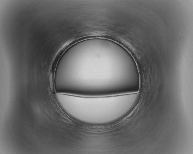 X0000116561171200912100937