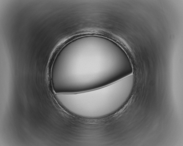 X0000116561172200912100937