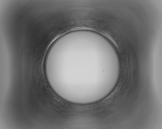 X0000116561173200912100937