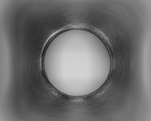 X0000116561174200912100937