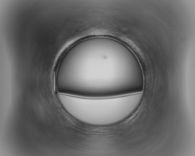 X0000116561175200912100937