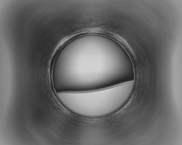 X0000116561176200912100937
