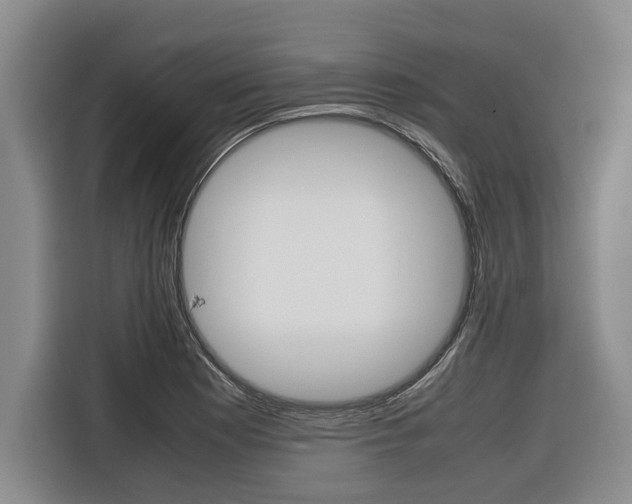 X0000116561177200912100937