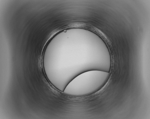 X0000116561178200912100937